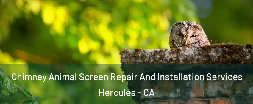  Chimney Animal Screen Repair And Installation Services Hercules - CA