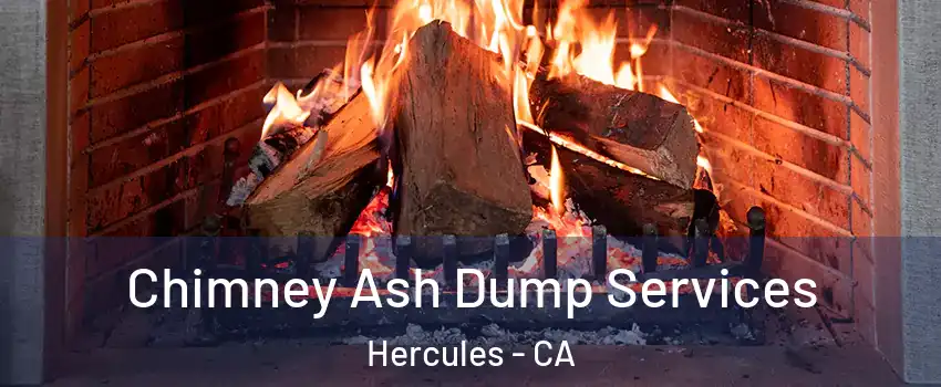  Chimney Ash Dump Services Hercules - CA