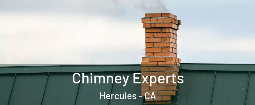  Chimney Experts Hercules - CA