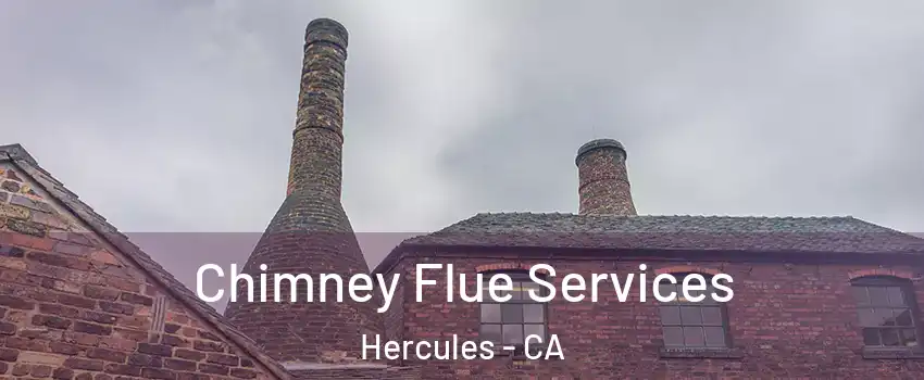  Chimney Flue Services Hercules - CA