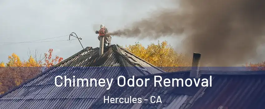  Chimney Odor Removal Hercules - CA