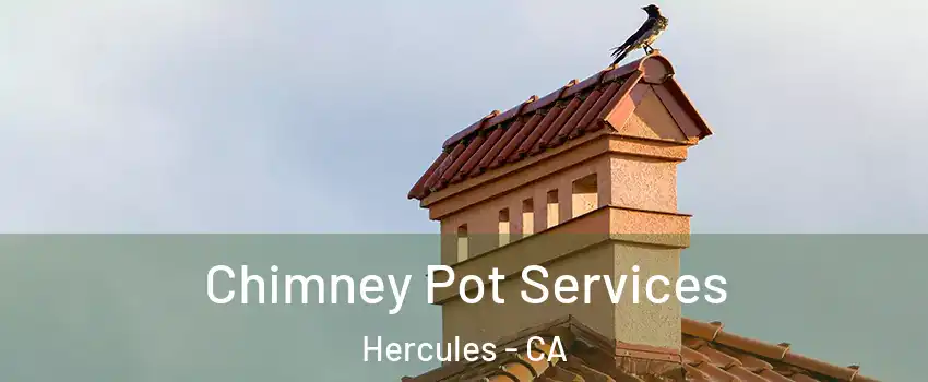  Chimney Pot Services Hercules - CA