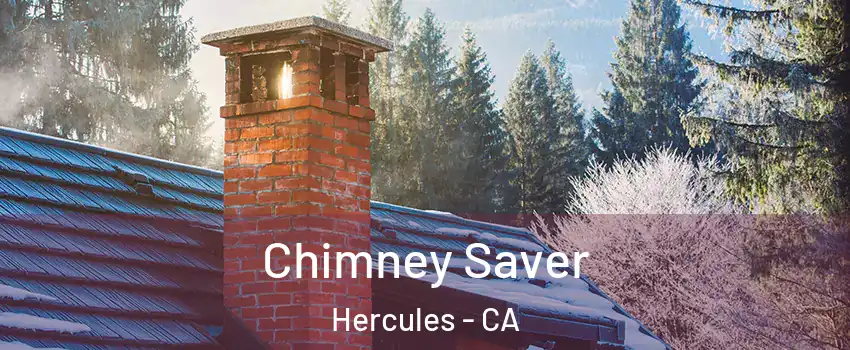  Chimney Saver Hercules - CA