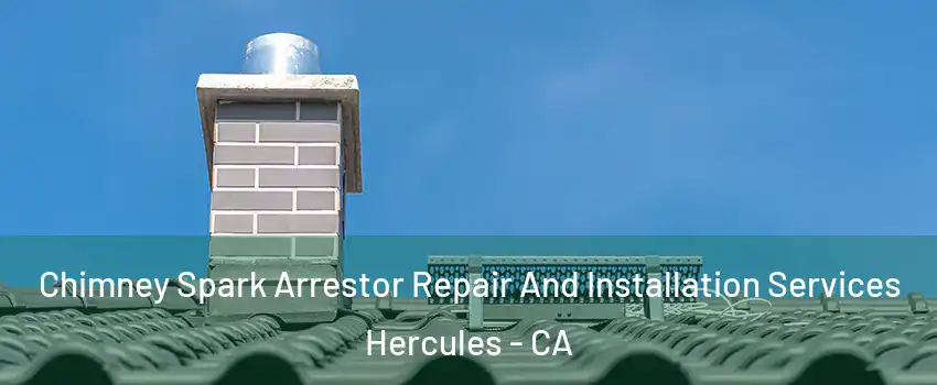  Chimney Spark Arrestor Repair And Installation Services Hercules - CA