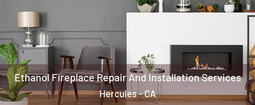  Ethanol Fireplace Repair And Installation Services Hercules - CA