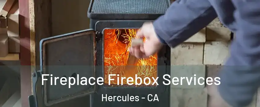  Fireplace Firebox Services Hercules - CA