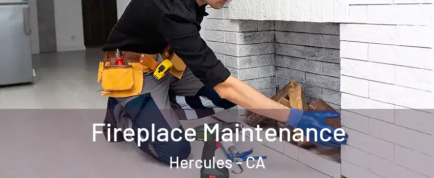  Fireplace Maintenance Hercules - CA