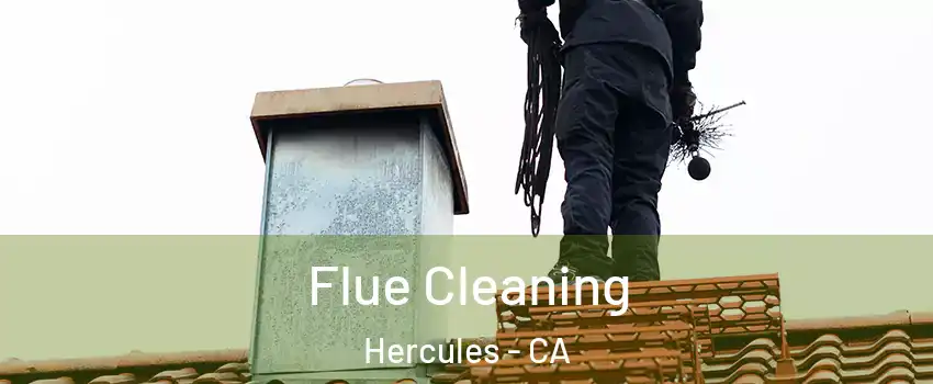  Flue Cleaning Hercules - CA