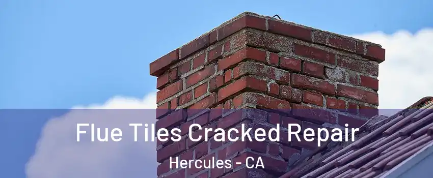  Flue Tiles Cracked Repair Hercules - CA