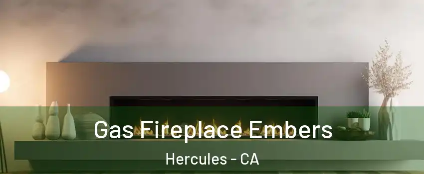  Gas Fireplace Embers Hercules - CA