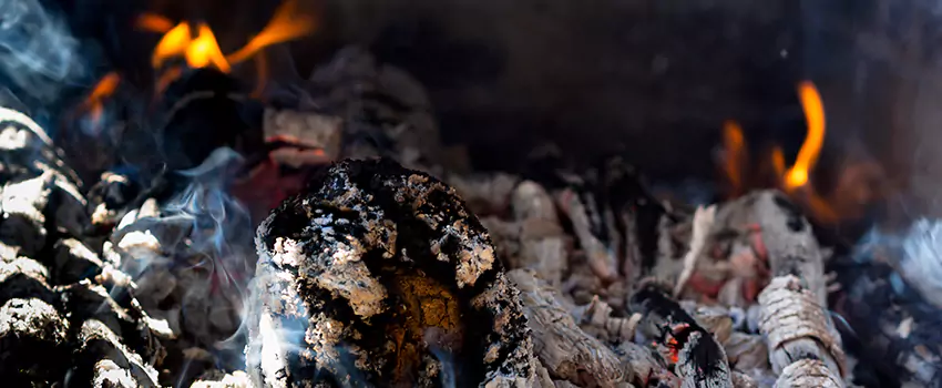 Creosote Removal Experts in Hercules, CA