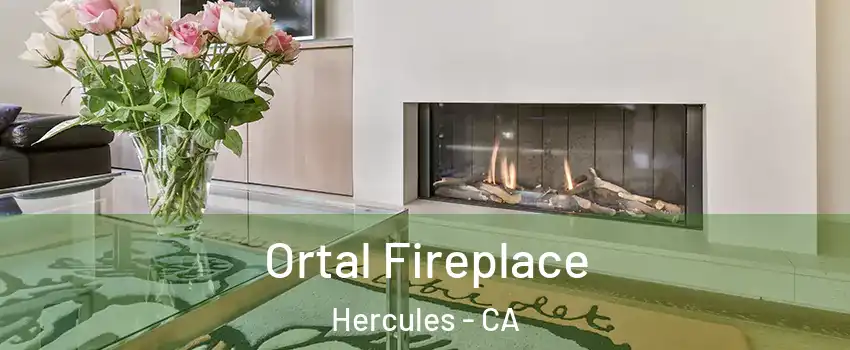 Ortal Fireplace Hercules - CA
