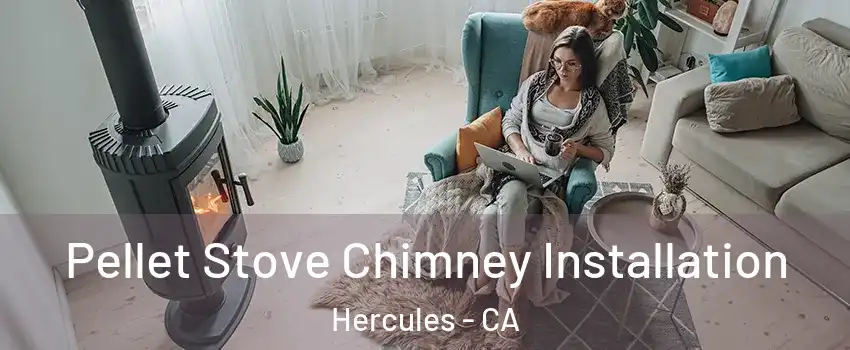  Pellet Stove Chimney Installation Hercules - CA